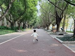 -南宁南湖公园