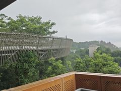 -福道