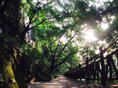 iphone_upload_pic-佛图关公园