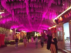 -婺源梦里老家大型山水实景演出