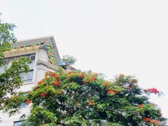 -广州市越秀区育才实验学校