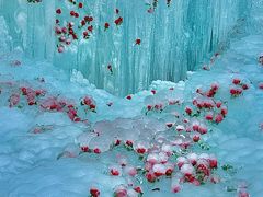 -洛阳白云山景区