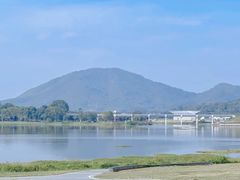 -风云岭森林公园