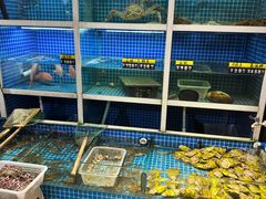 -金龙·打边炉(南京西路店)