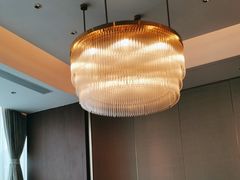 -同庆楼(天鹅酒家店)