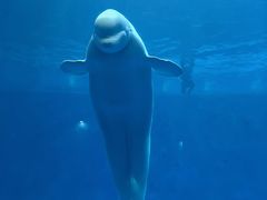 -石林冰雪海洋世界