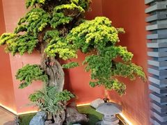 -阿伟海鲜楼·福建菜(延寿店)