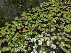 -昆山城市生态森林公园