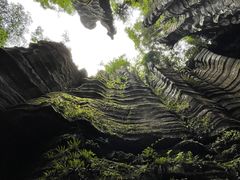 -梭布垭石林景区