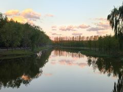 -黄海国家森林公园