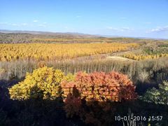 -塞罕坝国家级自然保护区