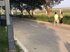 -光明小镇欢乐田园