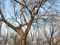 -永定河休闲森林公园