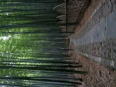 android_upload_pic-宝岩生态观光园