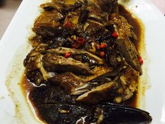 -阿水土鸡(远光店)