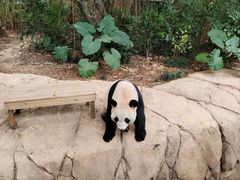 -广州长隆野生动物世界