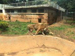 -昆明动物园
