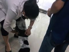 -申普宠物医院·眼科·心内科·影像科(普陀分院)