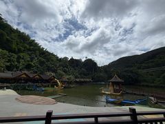 -西双版纳原始森林公园