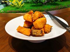 -泰康之家·申园