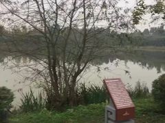 -白鹭湾湿地公园