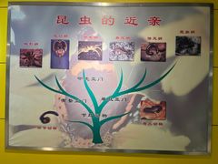 -上海昆虫博物馆