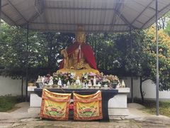 -上海佘山国家森林公园天马山园