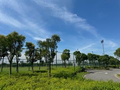 -春花秋色城市公园