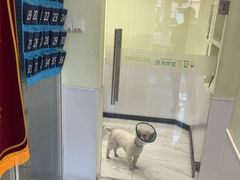 -艾吉宠物医院·疑难杂症转诊中心·猫友好(碧江路院)