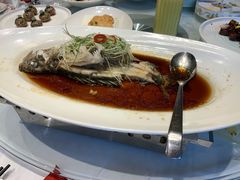 -沪碟·精菜坊(闵行店)