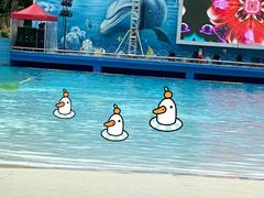 -武宁西海水上乐园