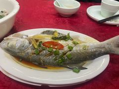 -蛇口康乐快餐鱼仔档(翠苑小区店)