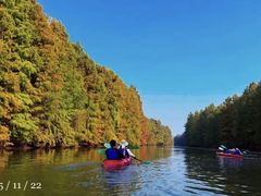 -上海海湾国家森林公园