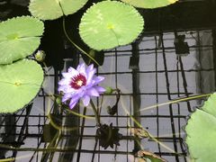 -北京植物园南门售票处