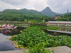 -帽儿山风景区