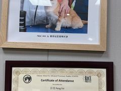 -奈斯宠物医院·核磁CT·异宠专科·内镜(中南店)