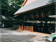 -西双版纳原始森林公园