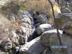 -鲁山国家森林公园