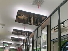 -Aqua Oasis 水天堂(石路天虹店)