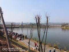 -枫香湖儿童公园