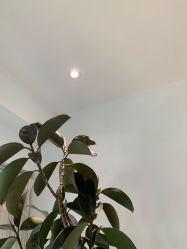 -HEYAN长风荷妍专业脱毛美肤
