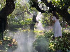 -Chom Cafe and Restaurant