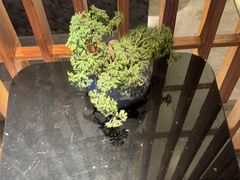 -浅深(北京北四环精品店)