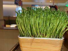 -海底捞火锅(枫蓝国际购物中心店)