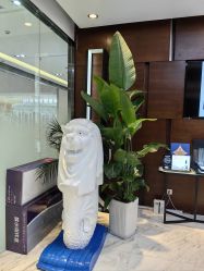 -洁铭新加坡医美