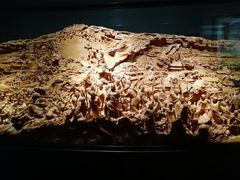 -上海市龙华烈士陵园