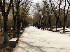 环境-哈尔滨师范大学(江南校区)