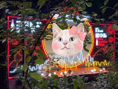 景观位-大鹅岛绿色生态美食园