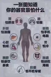 -香薇妮丝·定制减肥·身材管理
