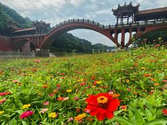 -乐山大佛风景名胜区乌尤寺南门-售票点